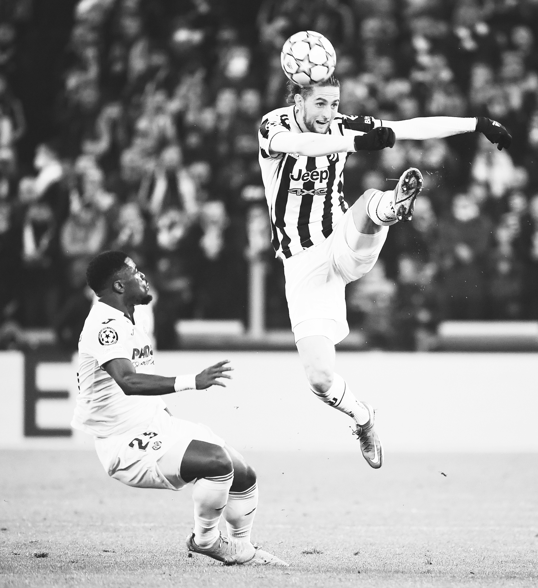 东莞家家乐食品集团画册设计案例欣赏